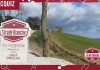 strade bianche 2022 in Tv