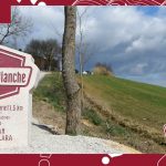 strade bianche 2022 in Tv